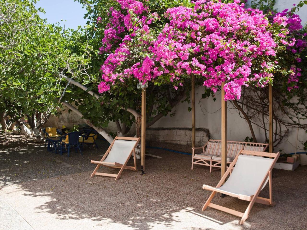 Hotel Albatross Livadi  Esterno foto